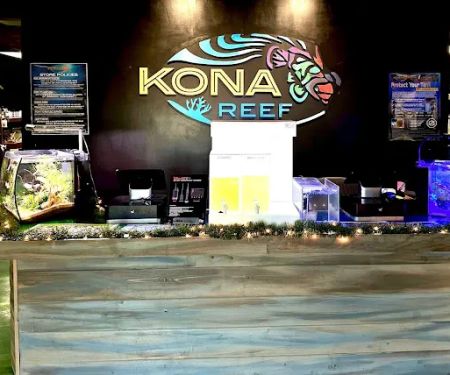Kona Reef Az - Surprise