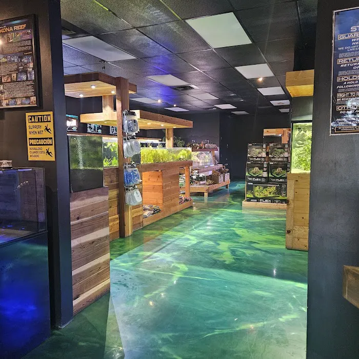Kona Reef Az - Surprise Picture 3
