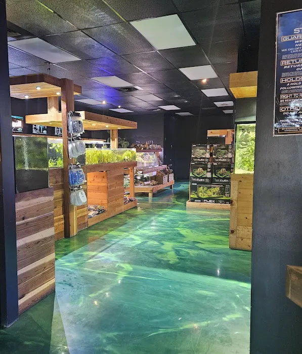 Kona Reef Az - Surprise Picture 5