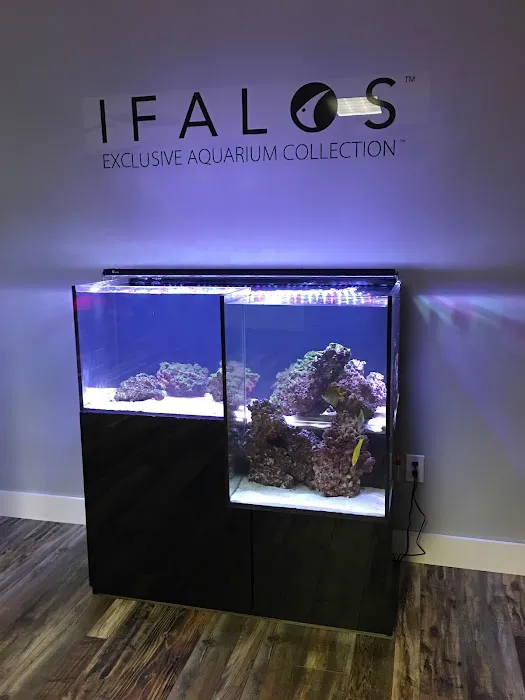 Kona Reef Az - Surprise Picture 8