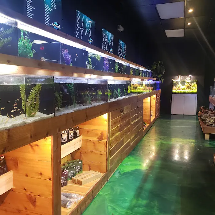 Kona Reef Az - Surprise Picture 10