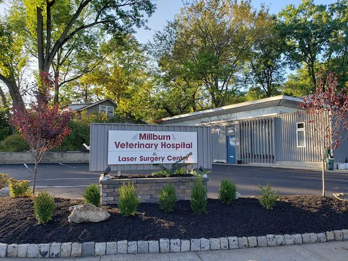 Millburn Veterinary Hospital Picture 3