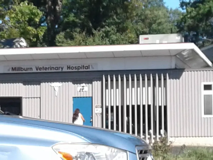 Millburn Veterinary Hospital Picture 2