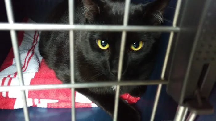 Millburn Veterinary Hospital Picture 7