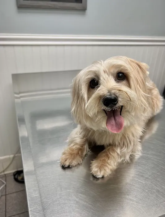 Valley Veterinary Hospital Picture 3