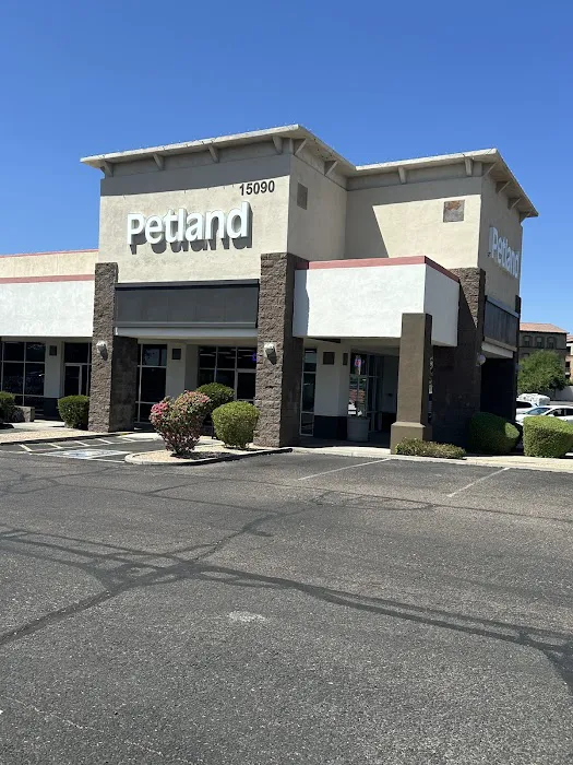 Petland Scottsdale Picture 1