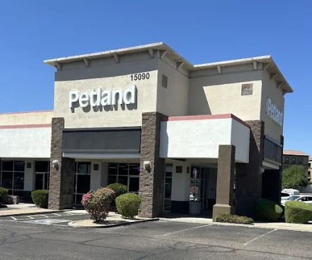 Petland Scottsdale