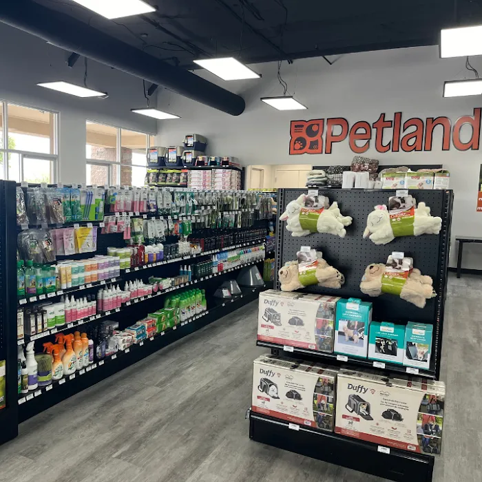 Petland Scottsdale Picture 6
