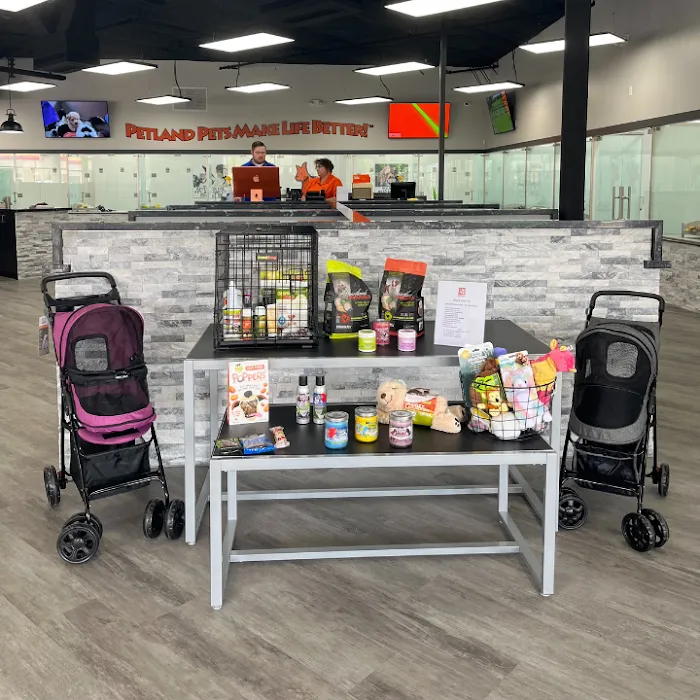 Petland Scottsdale Picture 8