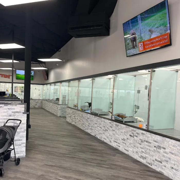 Petland Scottsdale Picture 10