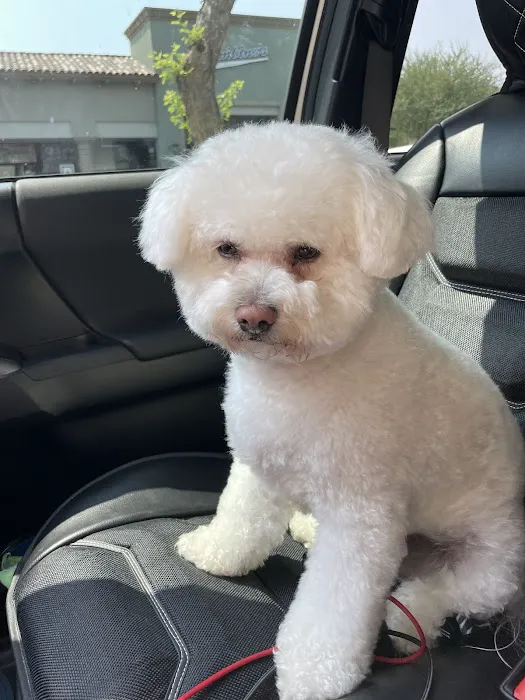Scottsdale Ranch Grooming Picture 1