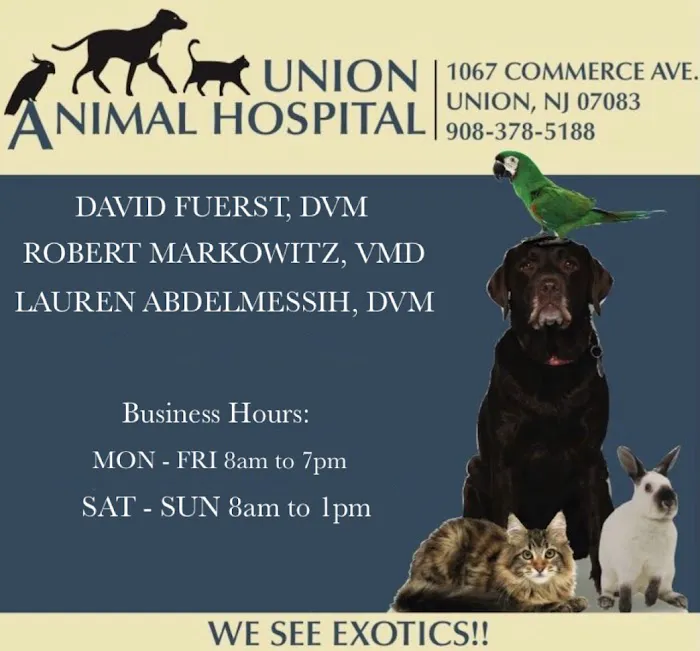 Union Animal Hospital Picture 2