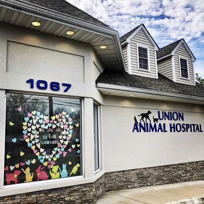 Union Animal Hospital Picture 3
