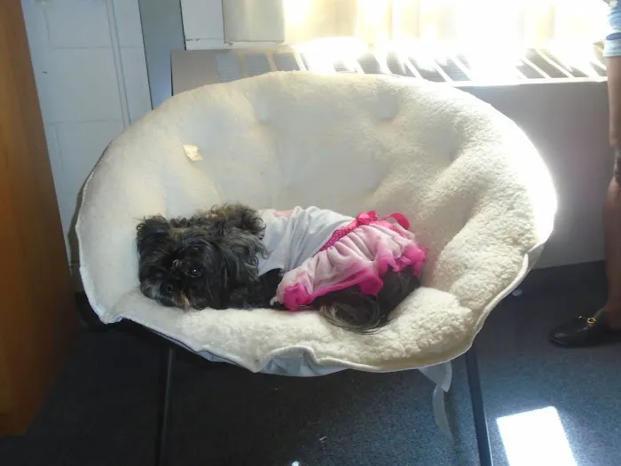 Maplewood Animal Hospital Picture 10