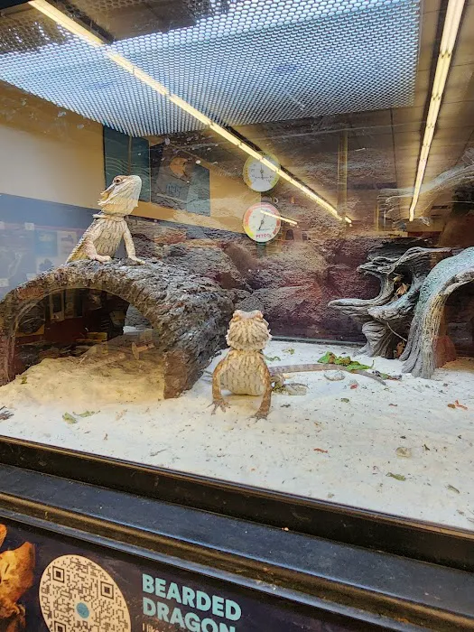Petco Picture 2