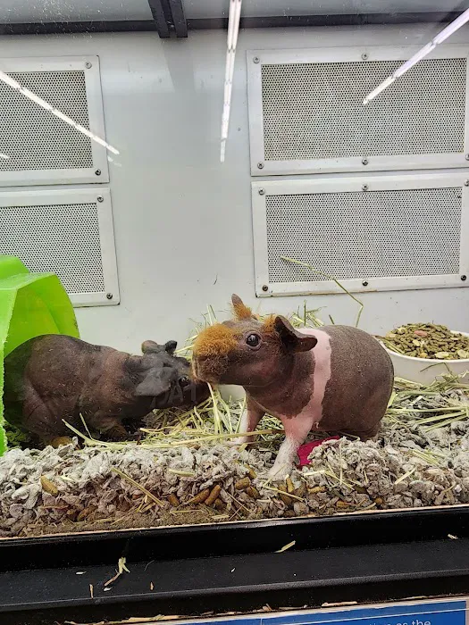 Petco Picture 3