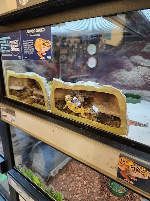 Petco Picture 7