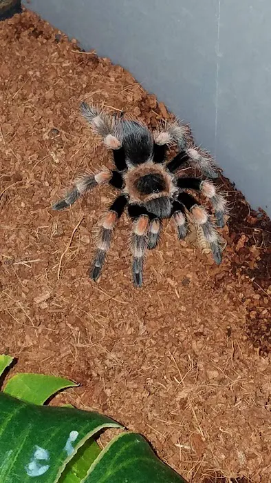 Petco Picture 10