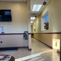 Eastland Veterinary Hospital ico