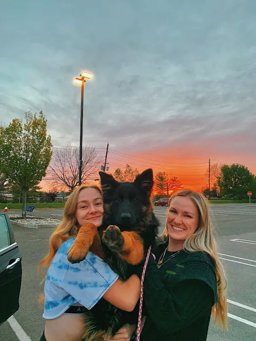 Eastland Veterinary Hospital Picture 10