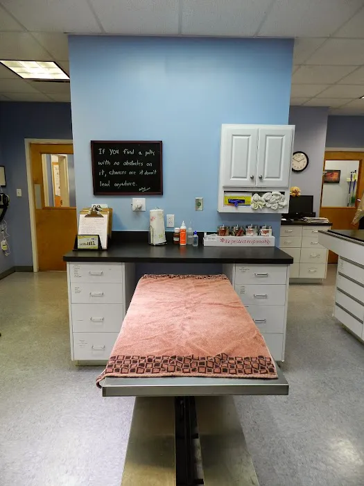 Berkeley Veterinary Center Picture 3