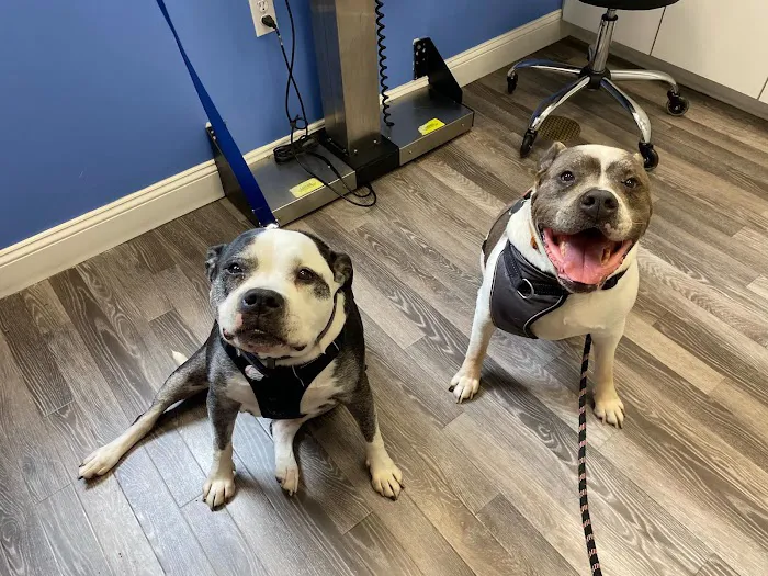 Berkeley Veterinary Center Picture 5