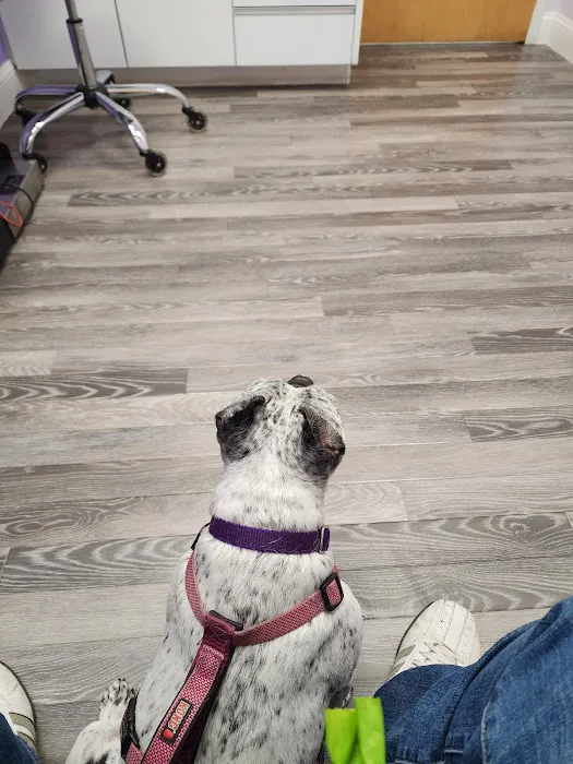 Berkeley Veterinary Center Picture 7