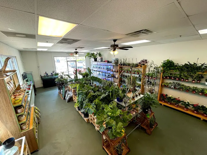 The Chlorophyll Corner by Katz Creations Picture 4