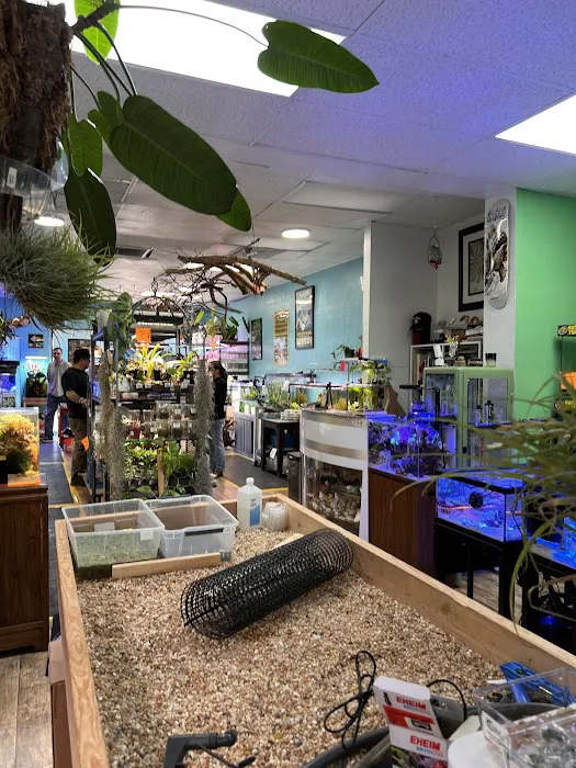 The Chlorophyll Corner by Katz Creations Picture 1