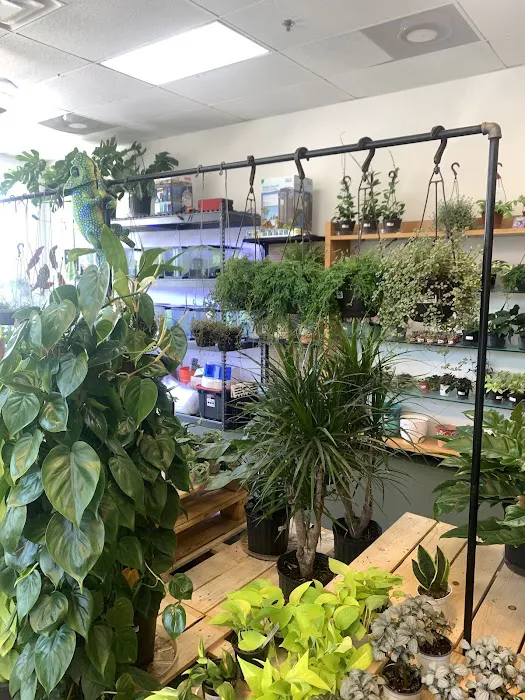 The Chlorophyll Corner by Katz Creations Picture 8
