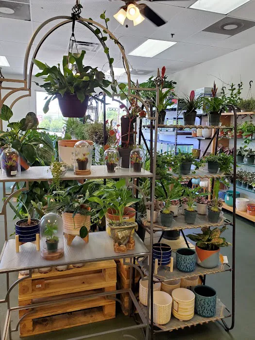 The Chlorophyll Corner by Katz Creations Picture 6