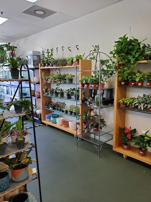 The Chlorophyll Corner by Katz Creations Picture 10