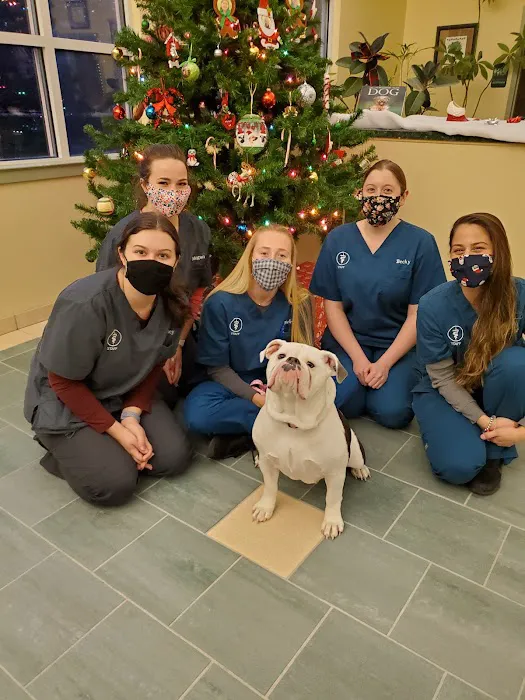 Lanoka Oaks Veterinary Center Picture 9