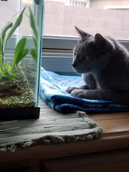 Petco Picture 2