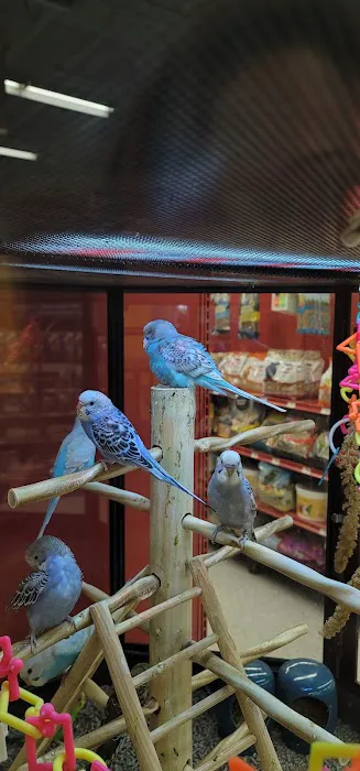 Petco Picture 6