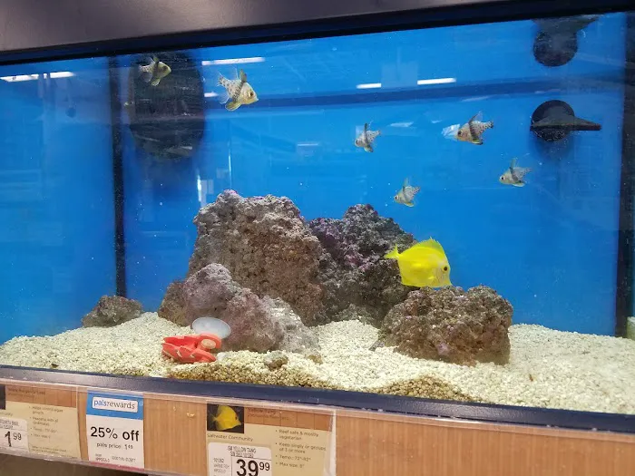 Petco Picture 9