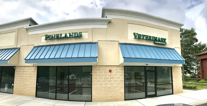 Pinelands Veterinary Hospital Picture 2