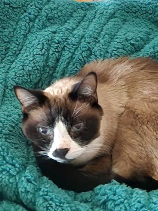 Pinelands Veterinary Hospital Picture 4