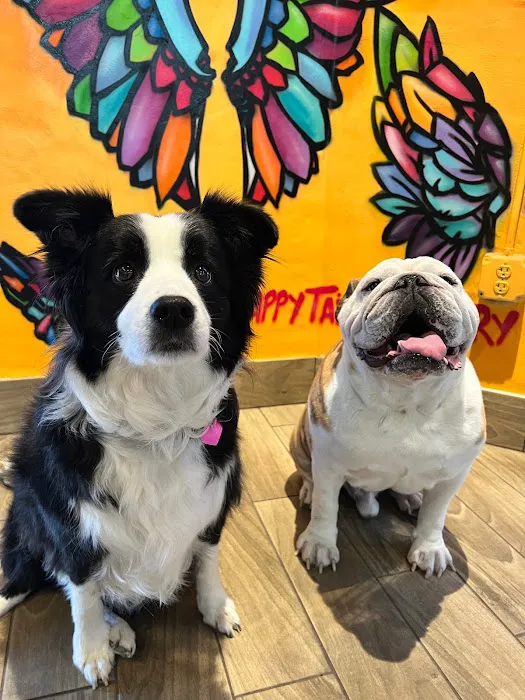 Happy Tails Barkery Picture 8