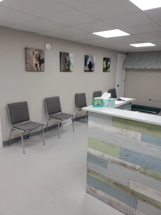 Bayberry Veterinary Hospital Picture 2