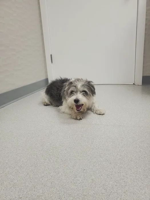 Bayberry Veterinary Hospital Picture 1