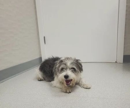 Bayberry Veterinary Hospital