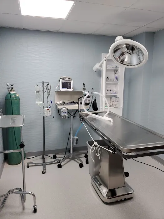 Bayberry Veterinary Hospital Picture 6