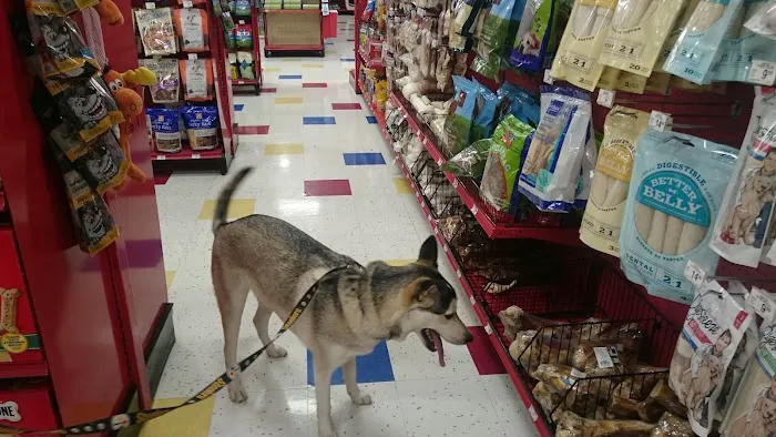 Petco Picture 2