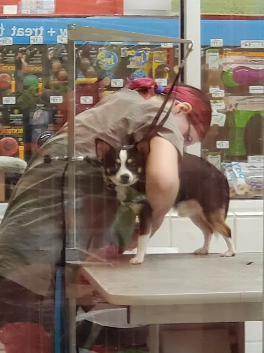 Petco Picture 5
