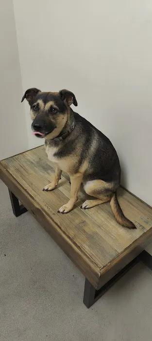 Petco Picture 8