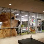 Pet Planet The Plant