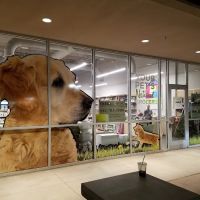 Pet Planet The Plant ico