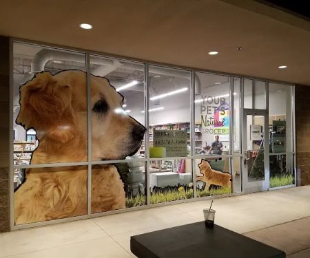 Pet Planet The Plant