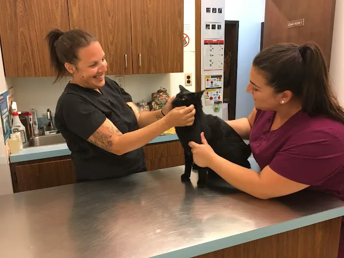 Annadale Veterinary Clinic Picture 3